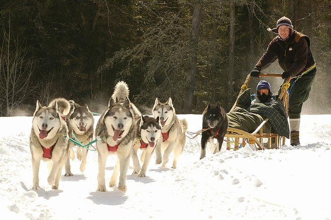 Dogsled Adventure in Mont-Tremblant - Practical Details and Value