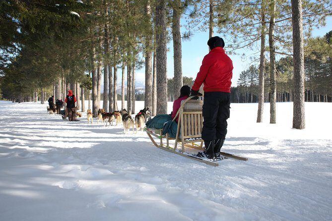 Dogsled Adventure in Mont-Tremblant - Authentic Experiences and Authenticity