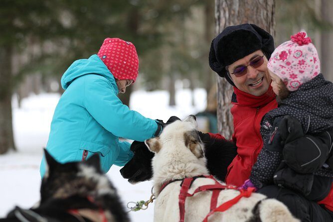 Dogsled Adventure in Mont-Tremblant - The Sum Up