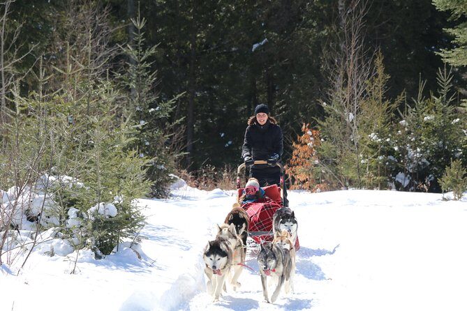 Dogsled Adventure in Mont-Tremblant - FAQ
