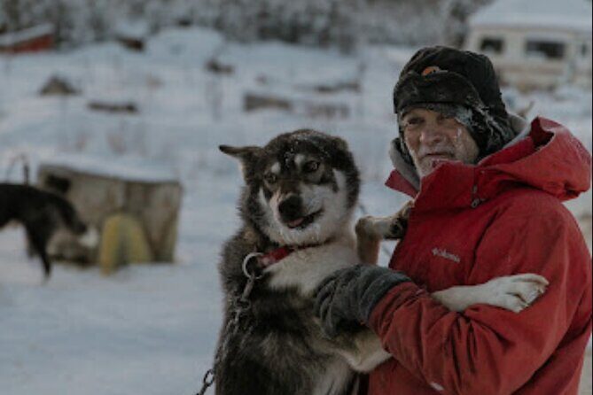 Dogsled Rides - The Sum Up