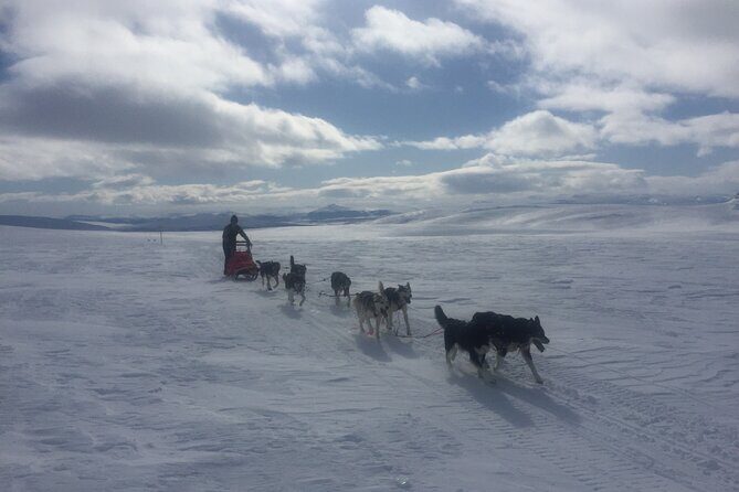 Dogsledding in the Heart of Alaska - Key Points