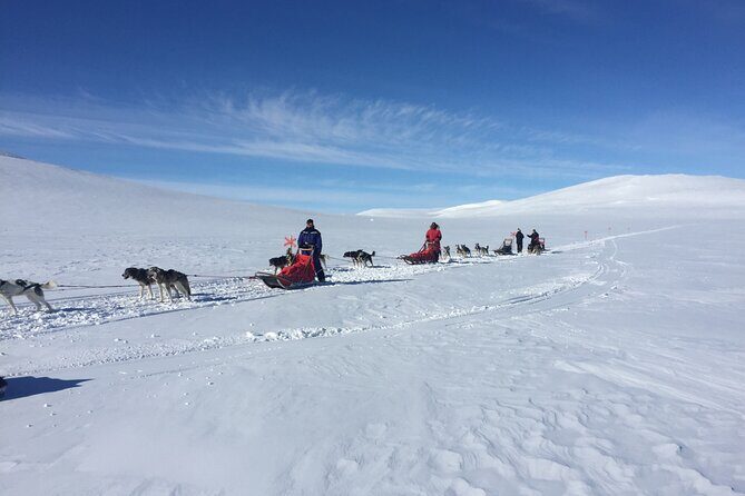 Dogsledding in the Heart of Alaska - Frequently Asked Questions