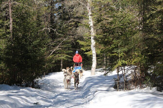 Dogsledding Nordic Adventure in Mont Tremblant - Discover the Dogsledding Nordic Adventure in Mont Tremblant