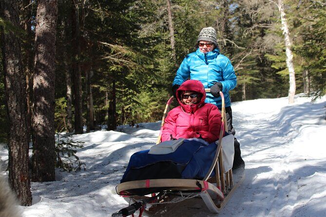 Dogsledding Nordic Adventure in Mont Tremblant - An In-Depth Look at the Mont Tremblant Dogsledding Experience