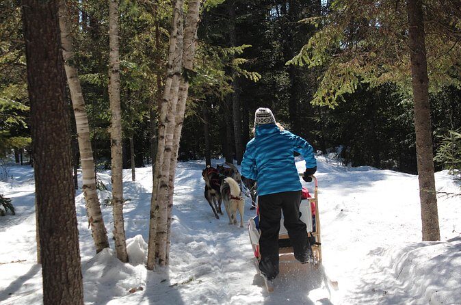 Dogsledding Nordic Adventure in Mont Tremblant - Final Thoughts