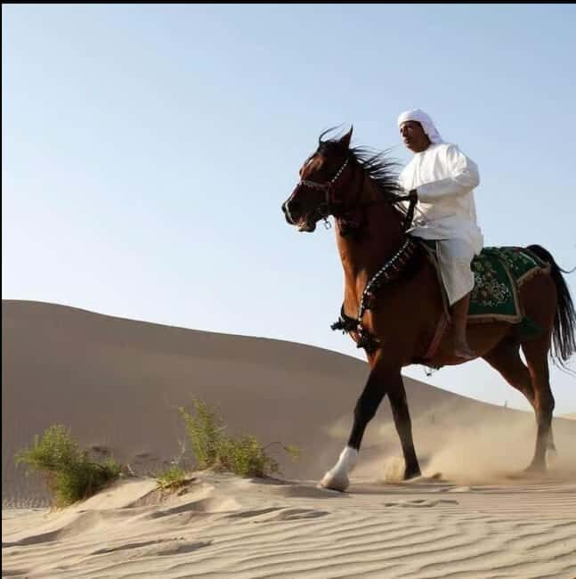 Doha: 3-Hour Desert Horse Riding Adventure with Transfers - Key Points