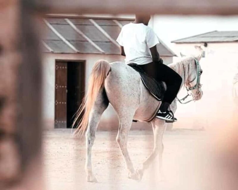 Doha: 3-Hour Desert Horse Riding Adventure with Transfers - FAQ About the Doha Desert Horse Riding Tour