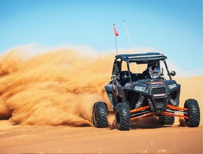 Doha Adventure Quad Bike Safari, Camel Ride & Refreshments - Final Thoughts: Is It Worth It?