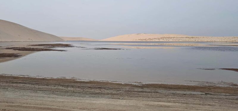 Doha: All inclusive Shared Desert Safari with Dune Bashing - Introduction: An Authentic Taste of the Desert