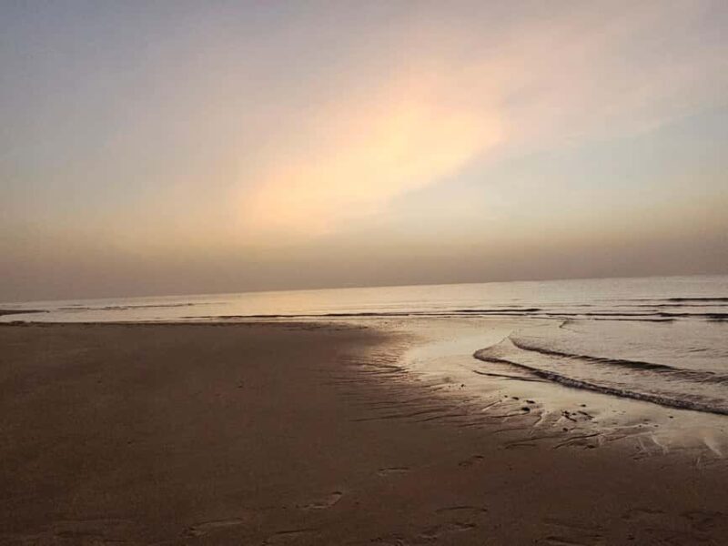 Doha: All inclusive Shared Desert Safari with Dune Bashing - Practical Tips for Travelers