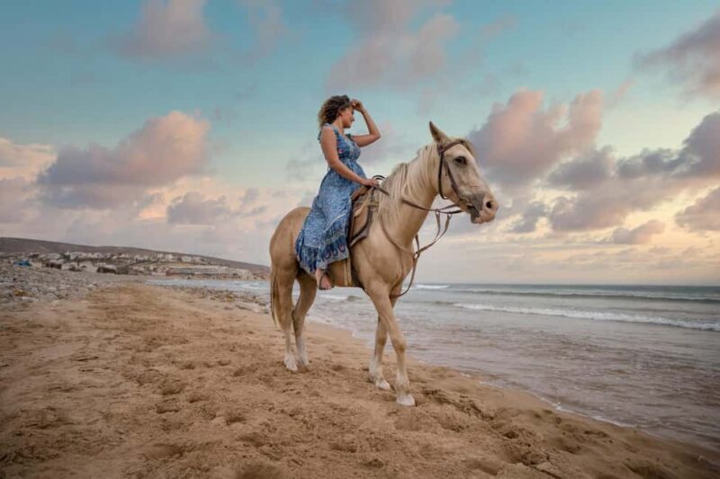 Doha : Arabian Horse Ride Experience With Transfer - Key Points