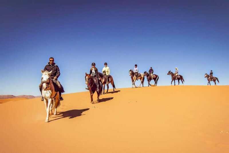 Doha : Arabian Horse Ride Experience With Transfer - How the Tour Works
