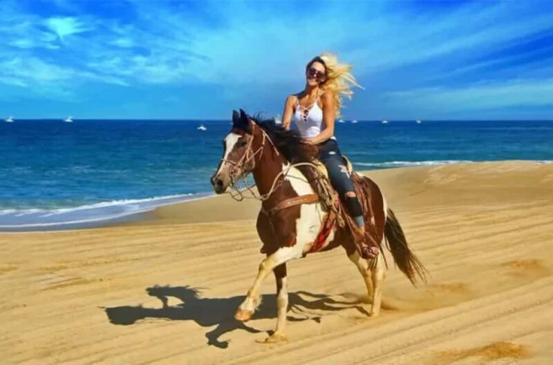 Doha : Arabian Horse Ride Experience With Transfer - What’s Included and What’s Not