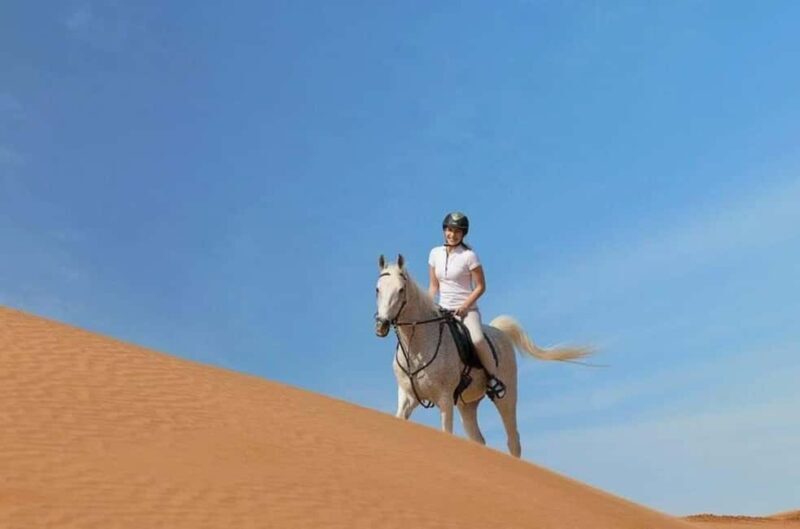 Doha : Arabian Horse Ride Experience With Transfer - Who Will Love This Tour?