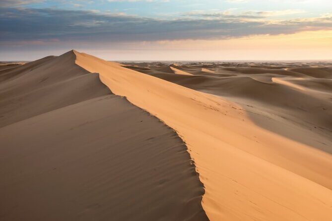 Doha ATV Quad Bike Adventure in the Middle of Desert Qatar - Who Should Consider This Tour?