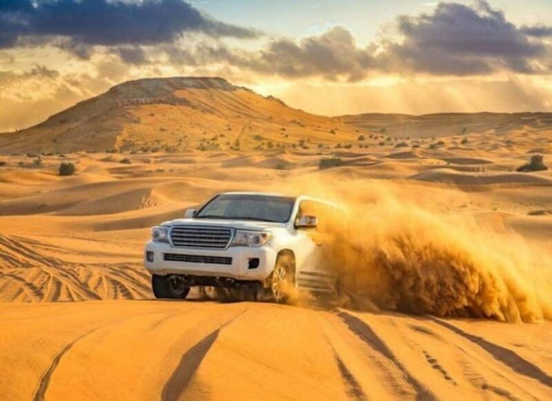 Doha: Budget Friendly Desert Safari,CamelRide & Sandboarding - Guide Quality and Tour Organization