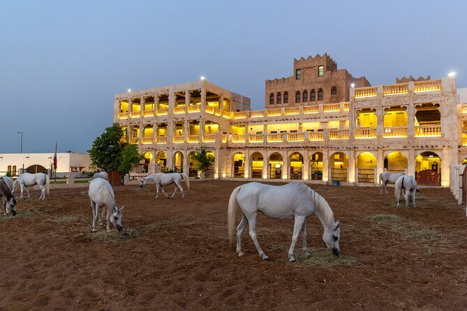 Doha City Highlights Guided Tour With Dhow Cruise - FAQ