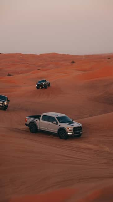 Doha City Tour with Desert Safari and Inland Sea Visit - Key Points