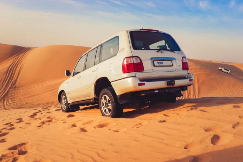 Doha City Tour with Desert Safari and Inland Sea Visit - What to Expect from the Tour