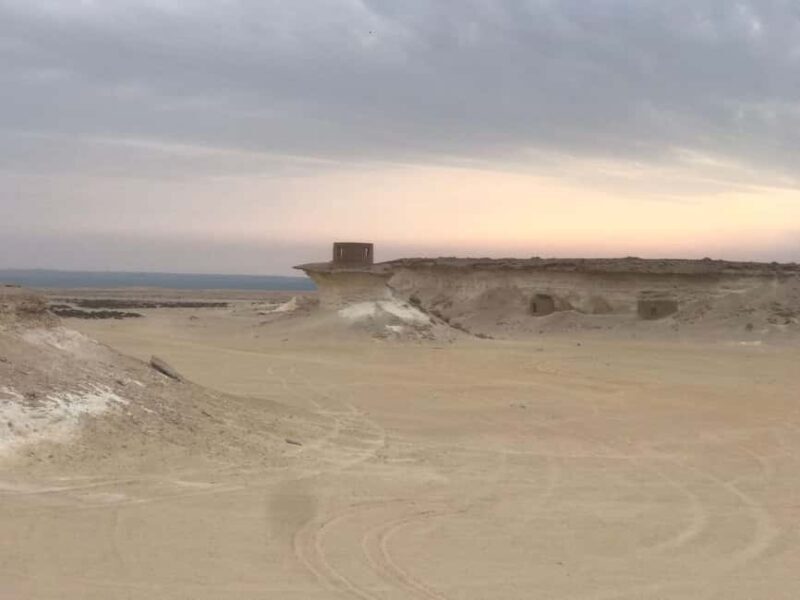 Doha Day Trip: West Qatar Day Trip to Zekreet & Dukhan Beach - Key Points