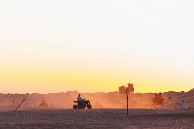 Doha Delights City Tour with Desert Safari and Inland Sea Visit - FAQ