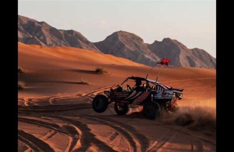 Doha: Desert Buggy Ride, Camel Ride, Dune Bashing, sandboard - Included and Not Included