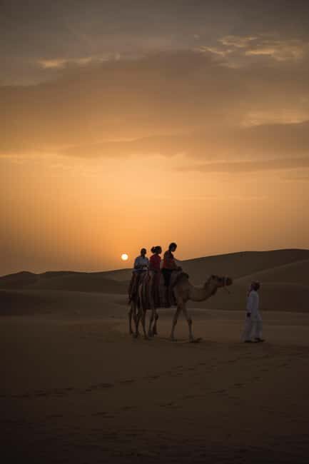 Doha Desert Excursion, Camel Ride, Inland sea, Sandboarding - Who Is This Tour Best For?