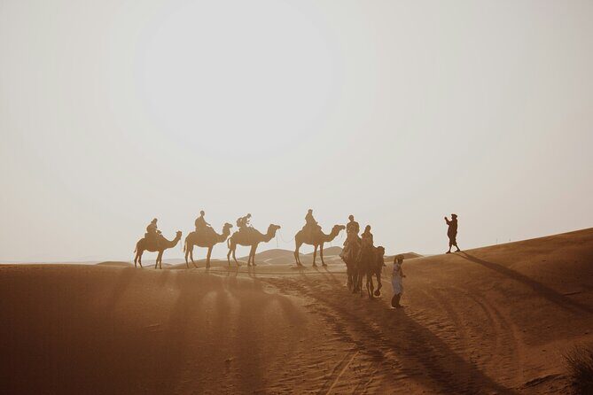 Doha Desert Excursion Dune Bashing Sandboarding Camel Ride - The Sum Up