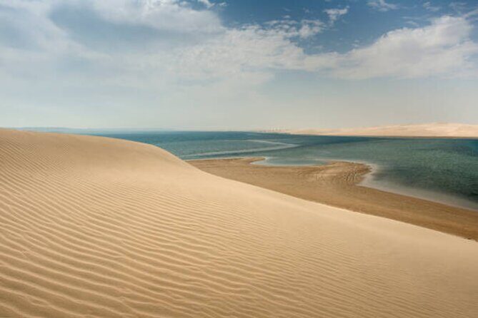 Doha Desert Quad Bike adventure with group, and Sand dune Driving - What Past Travelers Say