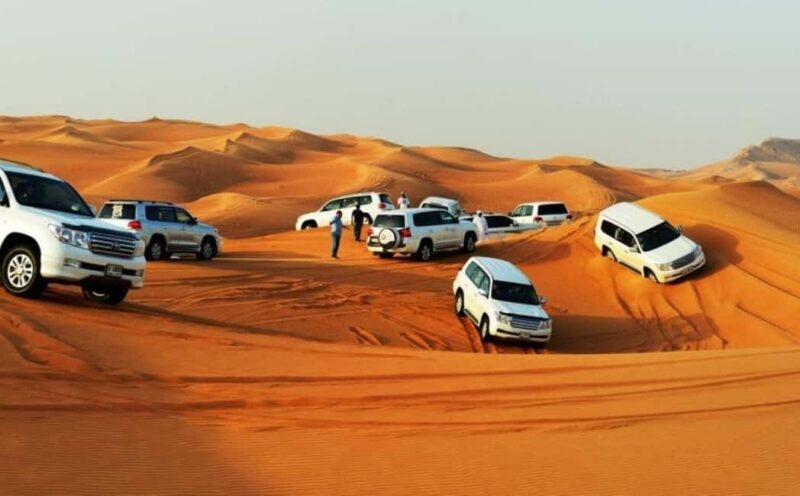 Doha: Desert Safari, Camel Ride, Dune Bashing and Quad Bike - Booking and Price: Is It Worth It?