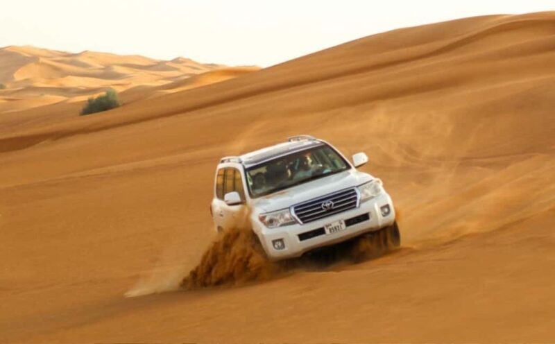 Doha: Desert Safari, Camel Ride, Dune Bashing and Quad Bike - The Experience Provider and Group Size