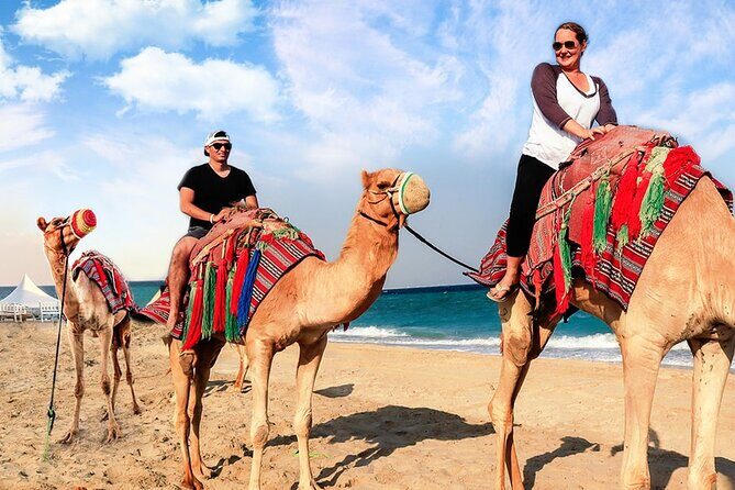 Doha Desert Safari Camel Ride, Sandboarding and Inland Sea - The Itinerary: What’s Included?