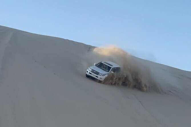 Doha Desert Safari Dune Bashing Camel Ride - The Sum Up: Why Choose This Tour?