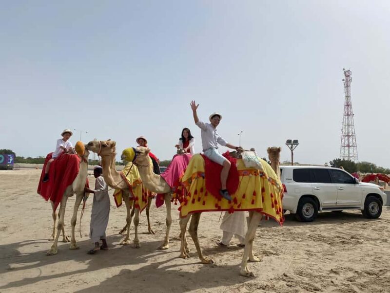 DOHA: Desert safari +Dune Bashing, Camel ride & Quad bikes - Introduction: An Adventure Tailored for Thrill-Seekers and Curious Minds