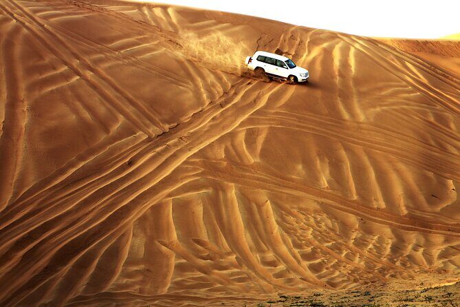 Doha Desert Safari Full day With Dinner,Dune Bashing,Sandboarding - The Itinerary in Detail
