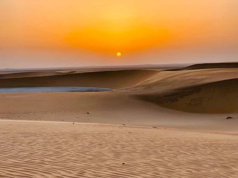 Doha: Desert Safari Sunrise Tour/Sunset Tour - Key Points