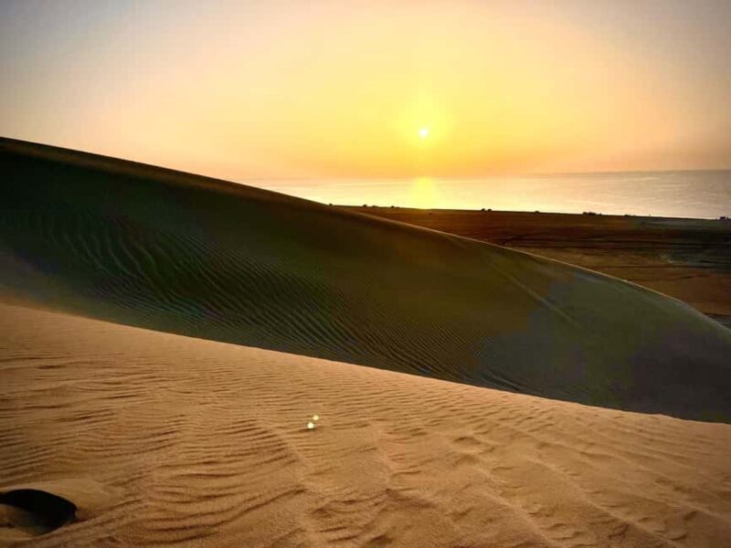 Doha: Desert Safari Sunrise Tour/Sunset Tour - What to Expect from the Doha Desert Safari Experience