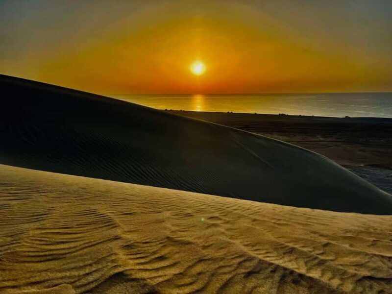 Doha: Desert Safari Sunrise Tour/Sunset Tour - The Sum Up: Is It Worth It?