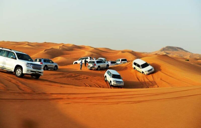 Doha: Desert Safari with Camel Ride Family Friendly Tour - Key Points