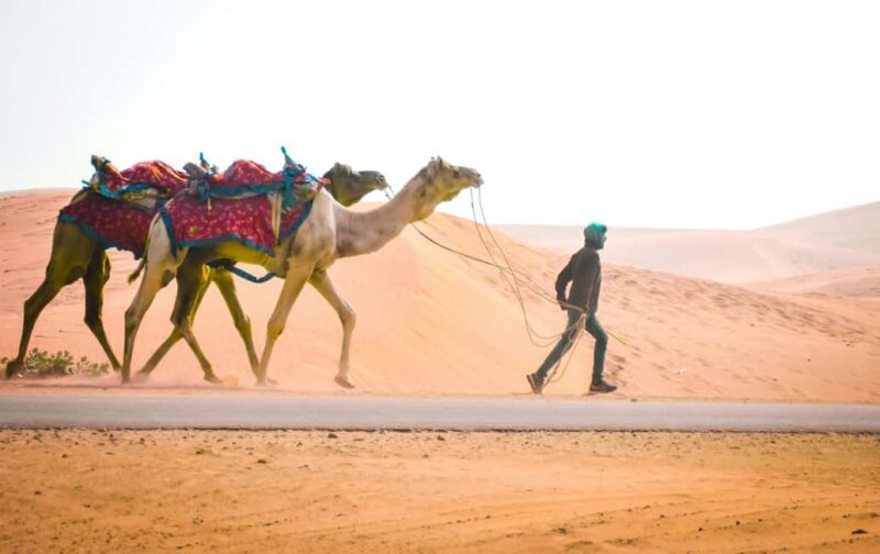 Doha: Desert Safari with Dune Bashing & Camel Ride - Key Points