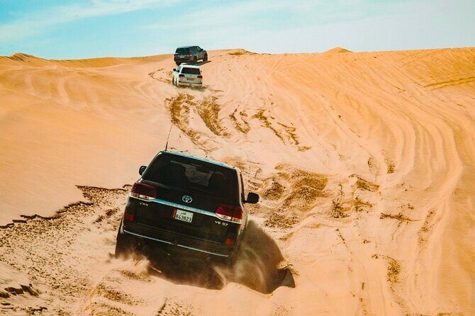 Doha Desert Safari with Inland Sea visit - Final Thoughts: Is This Tour Right for You?