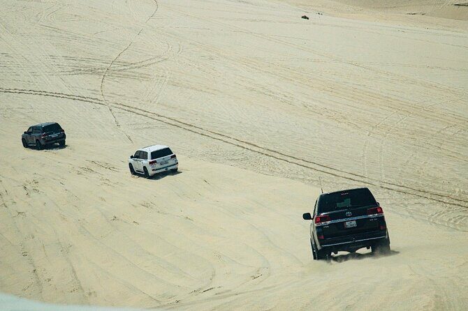 Doha Desert Safari with Inland Sea visit - Who Should Consider This Tour?