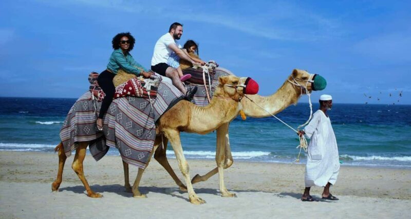 Doha: Desert Safari with Quad Biking ATV Tour - Who Should Consider This Tour?