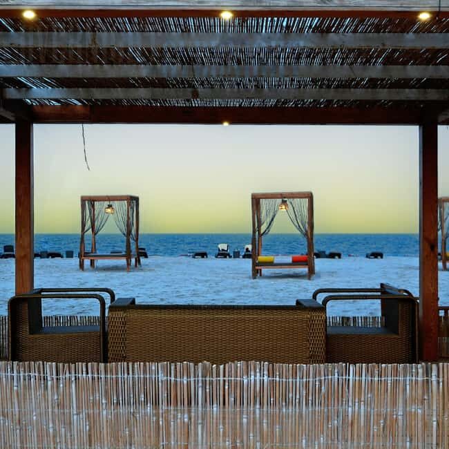 Doha: Full-Day Desert Safari, Dune Bashing & BBQ Dinner - Key Points