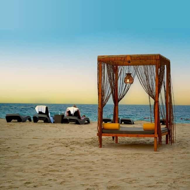 Doha: Full-Day Desert Safari, Dune Bashing & BBQ Dinner - The Sum Up
