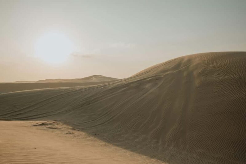 Doha: Full-Day Desert Safari with Lunch/Dinner, Camel Ride - The Experience in Detail