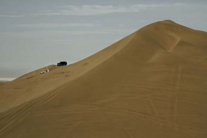 Doha: Full-Day Desert Safari with Lunch/Dinner, Camel Ride - Practical Tips