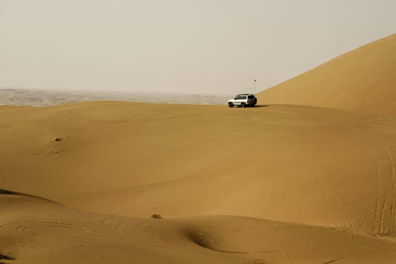 Doha: Full-Day Desert Safari with Lunch/Dinner, Camel Ride - Final Thoughts