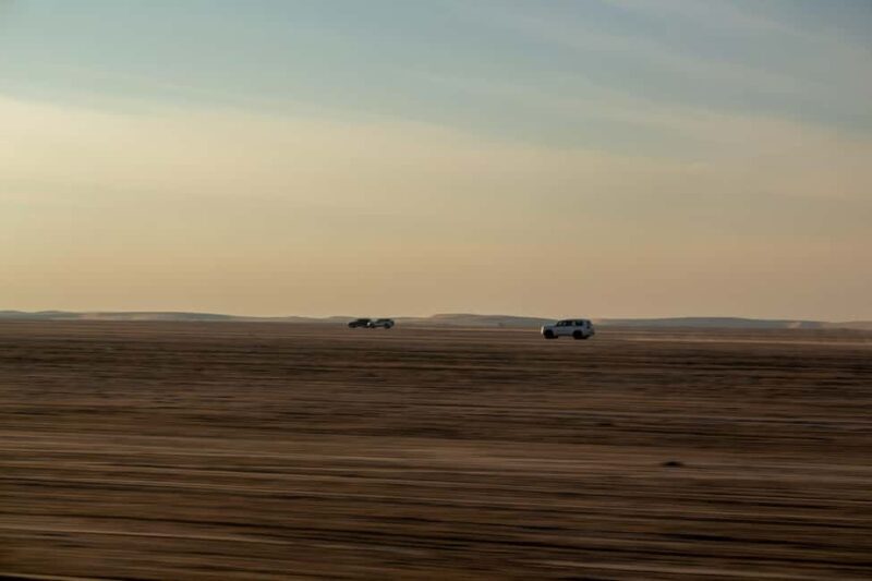 Doha: Full-Day Desert Safari with Lunch/Dinner, Camel Ride - FAQ